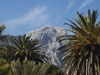 vrh-ilije-i-palme